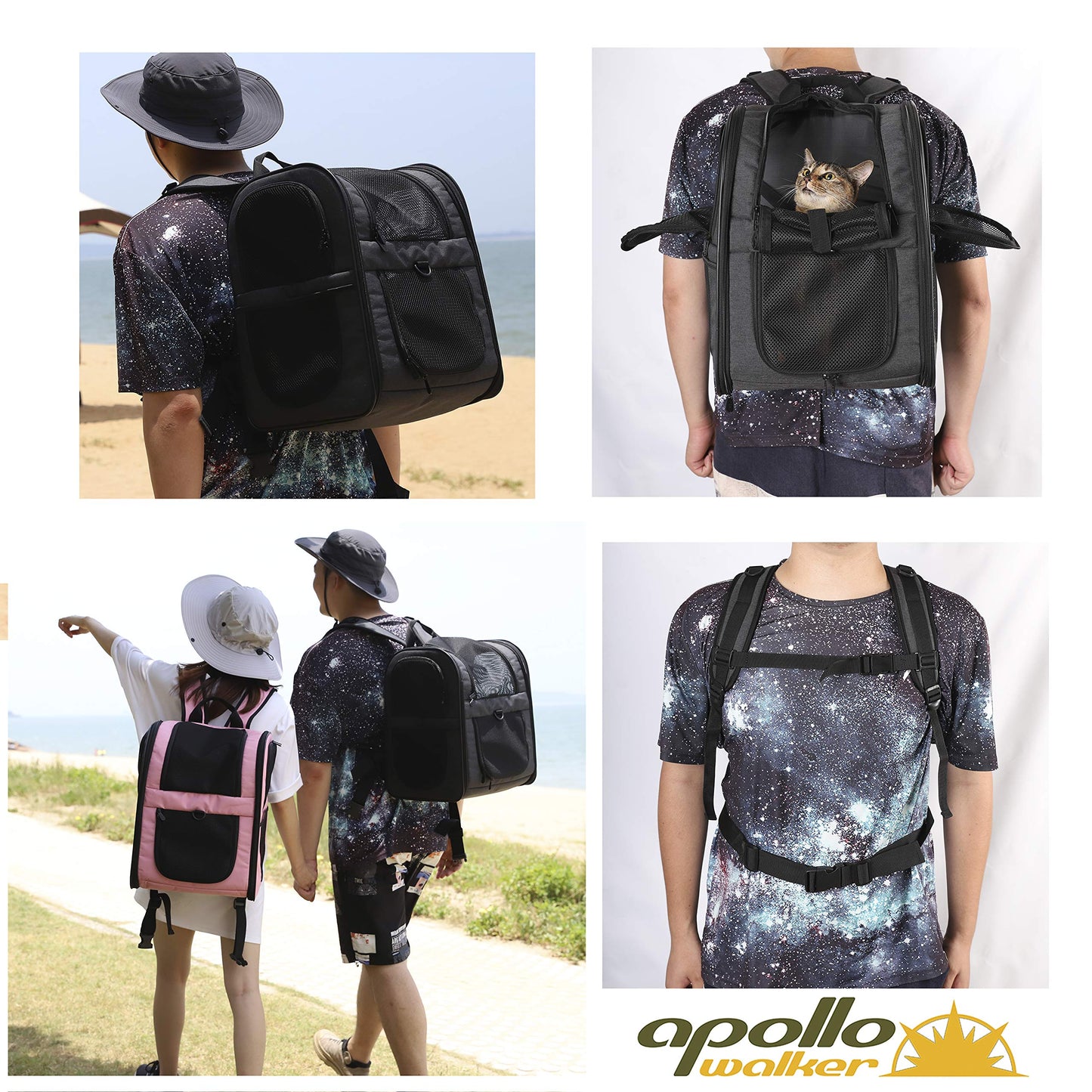 Apollo Walker Pet Carrier Backpack for 4-15lb Cats and Dogs, Puppies, Safety Features and Cushion Back Support for Travel, Hiking, Outdoor Use