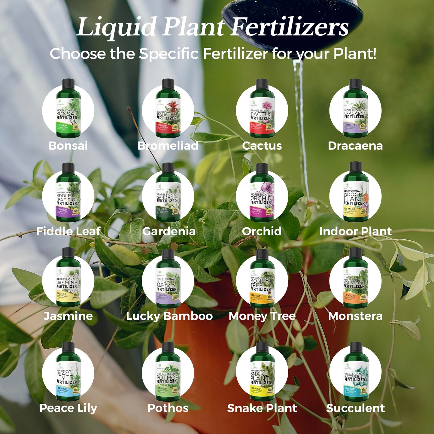 Professional Liquid Gardenia Plant Fertilizer | 3-1-2 Concentrate for Flowering Plants | Multi-Purpose Blend & Gardening Supplies | 8 oz Bottle