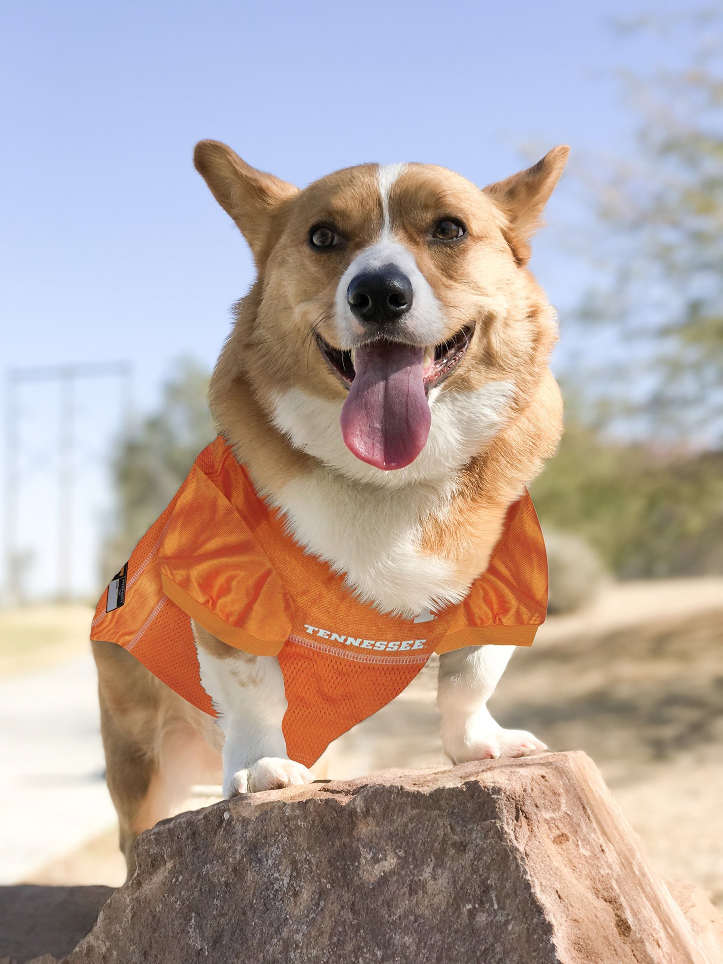 Pets First NCAA Tennessee Volunteers Dog Jersey, Large. Best Football/Basketball Pet Outfit for The die-Hard Fans of The Tennessee Volunteers College Sports Team. (TN-4006-LG)