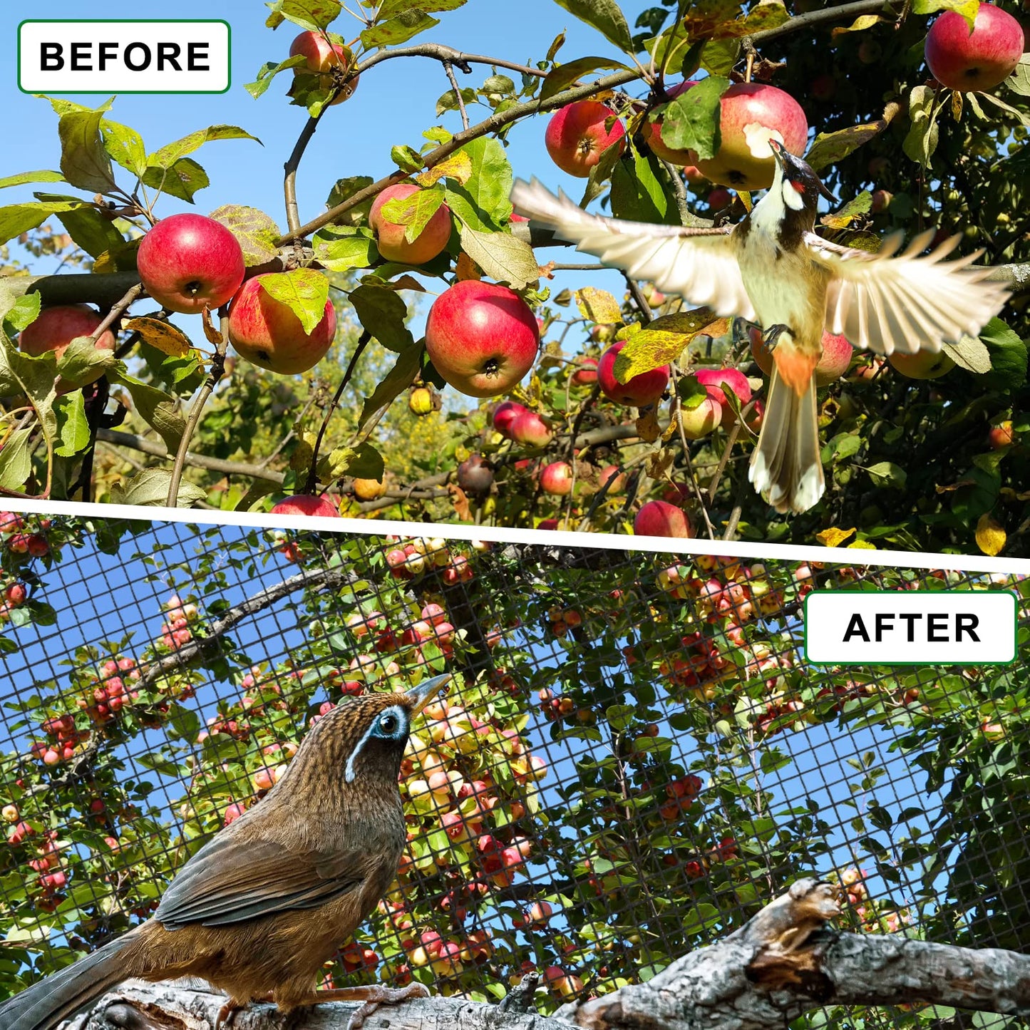 BSTPCOO Bird Net 50'x50' for Chicken Coop, Heavy Duty Nylon 3/4" Mesh Garden Netting, Aviary, Deer Fence, Pests Trellis for Fruits Trees Plant