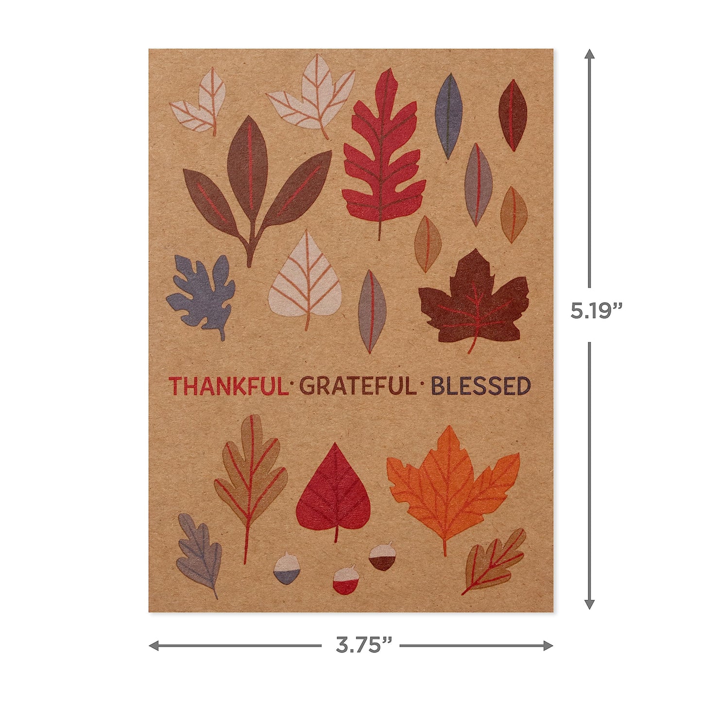 Hallmark Kraft Thanksgiving Cards Assortment (24 Assorted Cards with Envelopes) Leaves, Pumpkins, Gourds