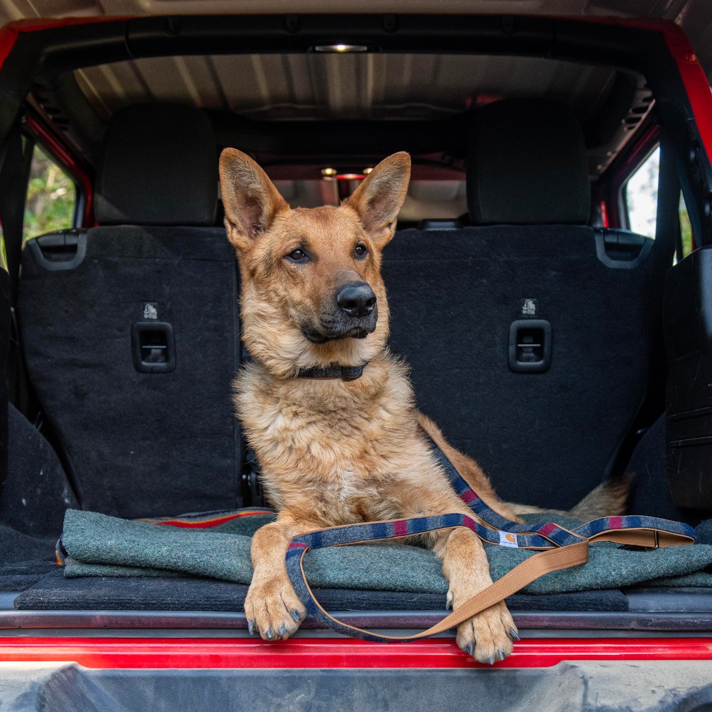 Carhartt Pet Durable Nylon Duck Leashes for Dogs, Reflective Stitching for Visibility, Blanket Stripe, One Size