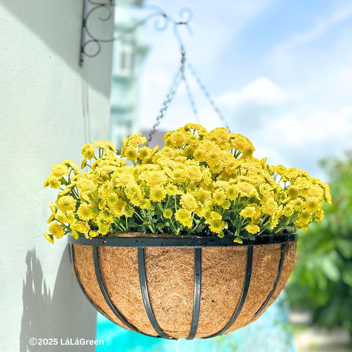 LaLaGreen Outdoor Hanging Baskets for Plants (18 Inch, 2 Pack) Extra Large Black Metal Flat Iron Hanging Planters with Coco Liner Round Flower Pot Holder Hanger Deck Porch Modern Garden Balcony Decor