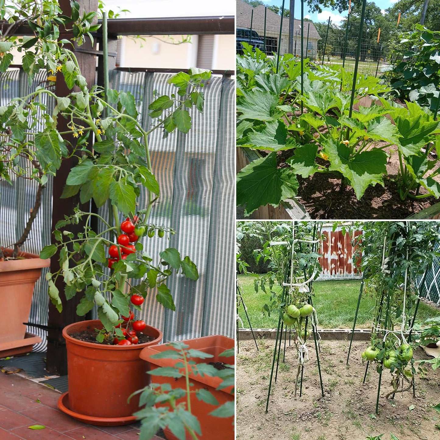 48 Inches Garden Stakes 30PCS, Plant Stakes Support for Gardening, Plastic Coated Metal Garden Stakes Supports Climbing for Tomatoes, Flower, Grapes, Bean