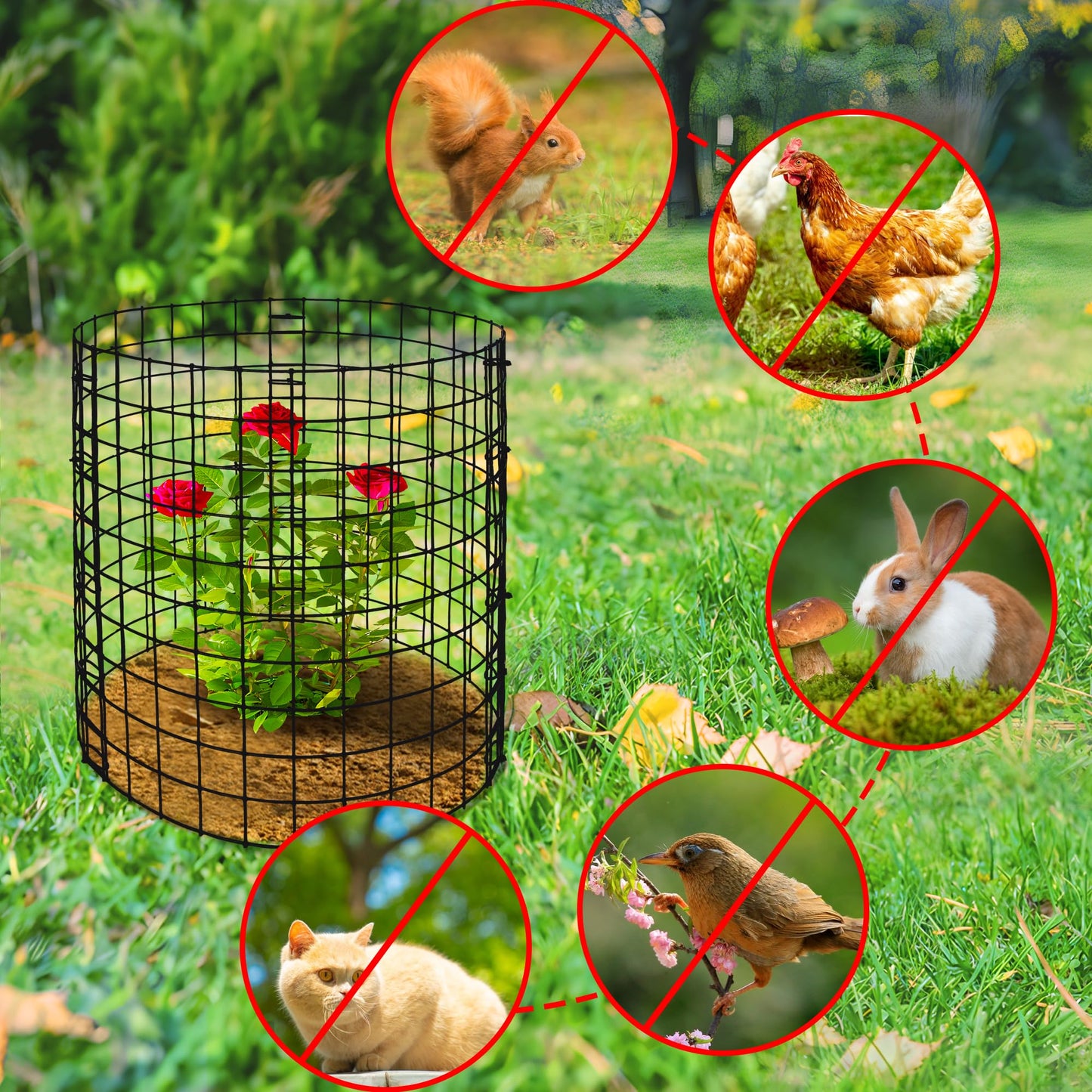 10 Packs Wire Plant Protector from Animals - 12" H X 12" D Metal Mesh Plant Cage Covers - Sturdy Garden Bunny Barricades Chicken Wire Cloche for Plants Shrubs Vegetables Flowers