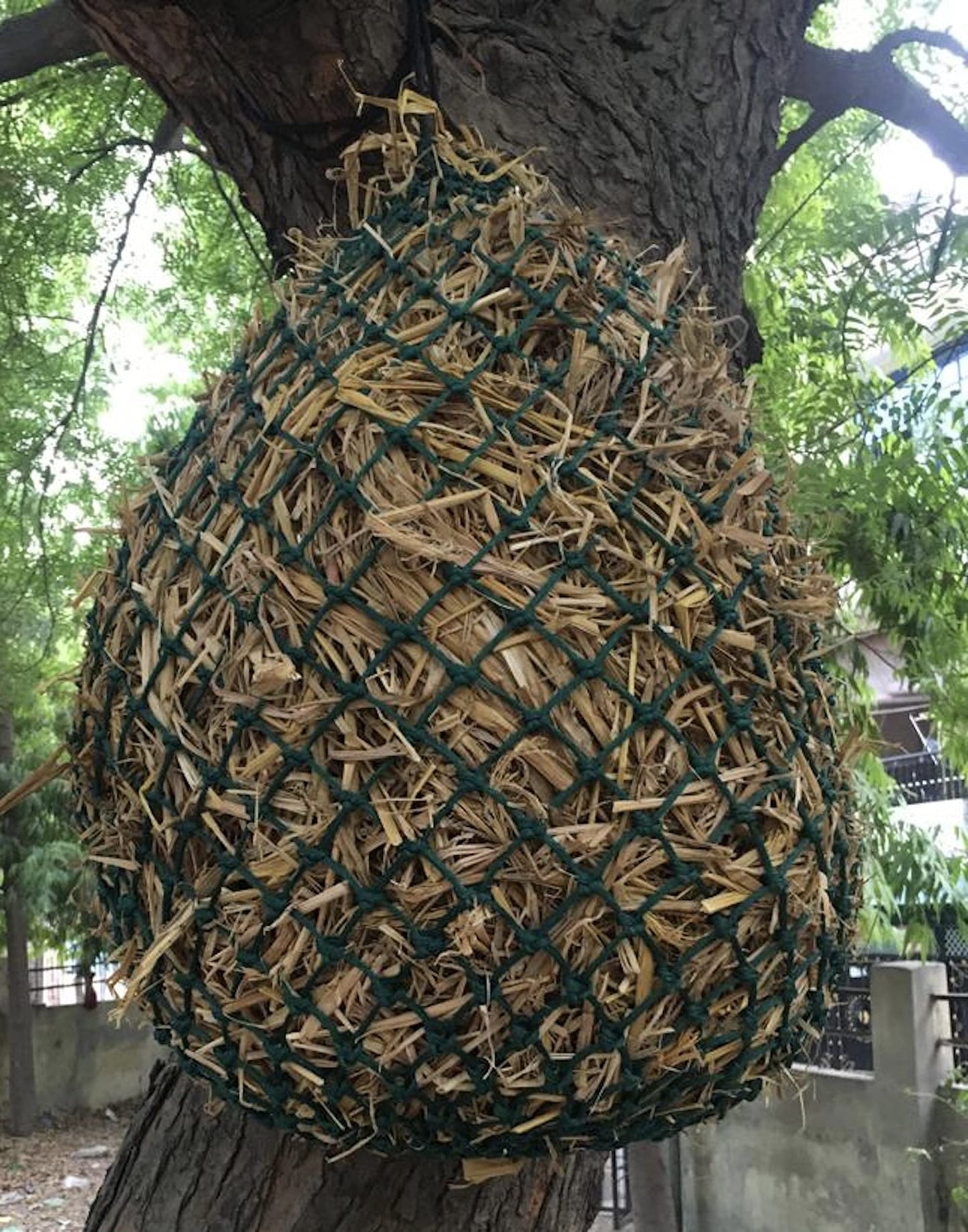 Majestic Ally 2 Pcs 1.25”x1.25” Holes Ultra Slow Feed 40” Very Sturdy Hay Net with Bottom Ring for Goat, Sheep and Livestock Simulatr grazing, Reduces Waste (Hunter Green)