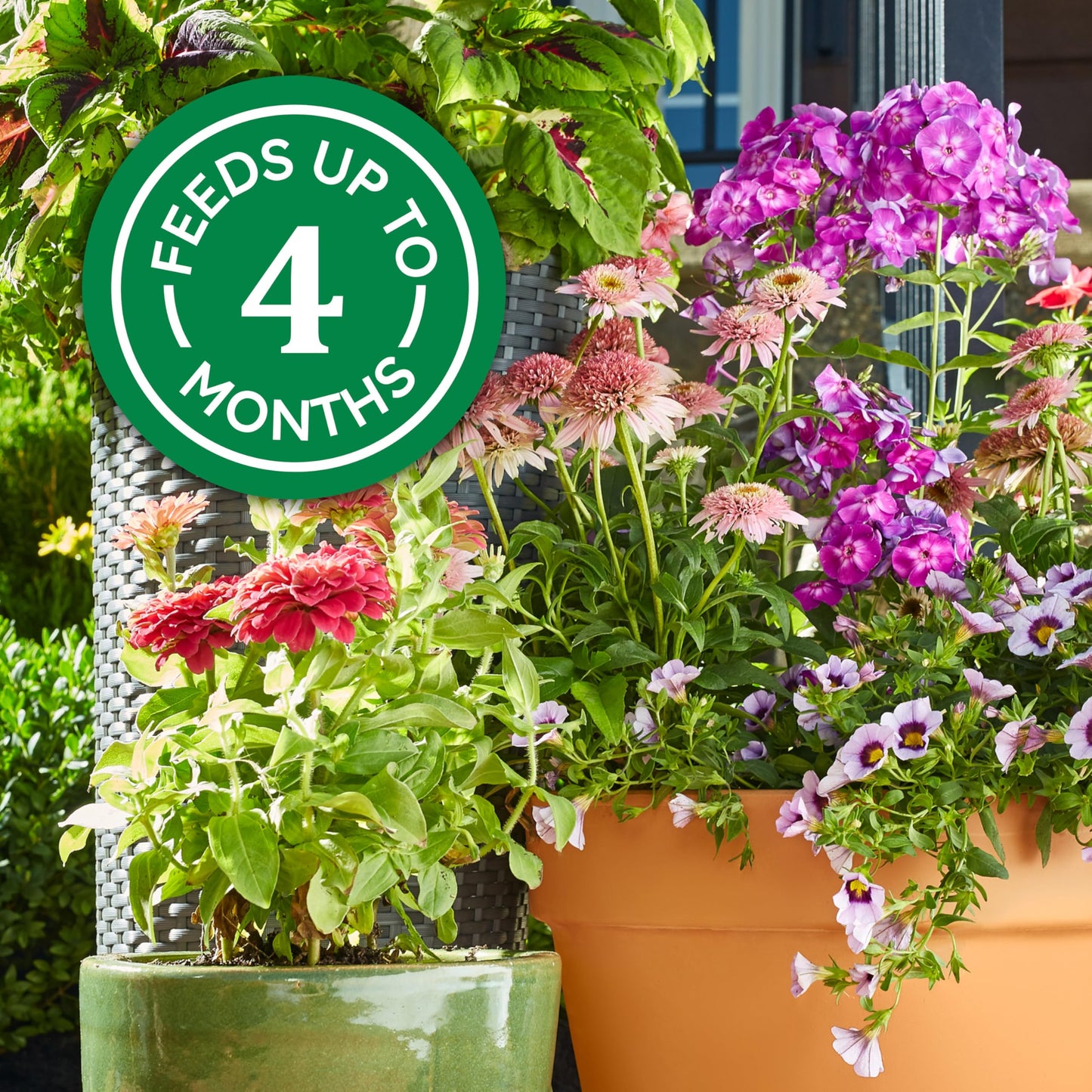 Scotts Company Osmocote 277860 Flower and Vegetable Smart-Release Plant Food, 14-14-14, 4.5-Pound Jug