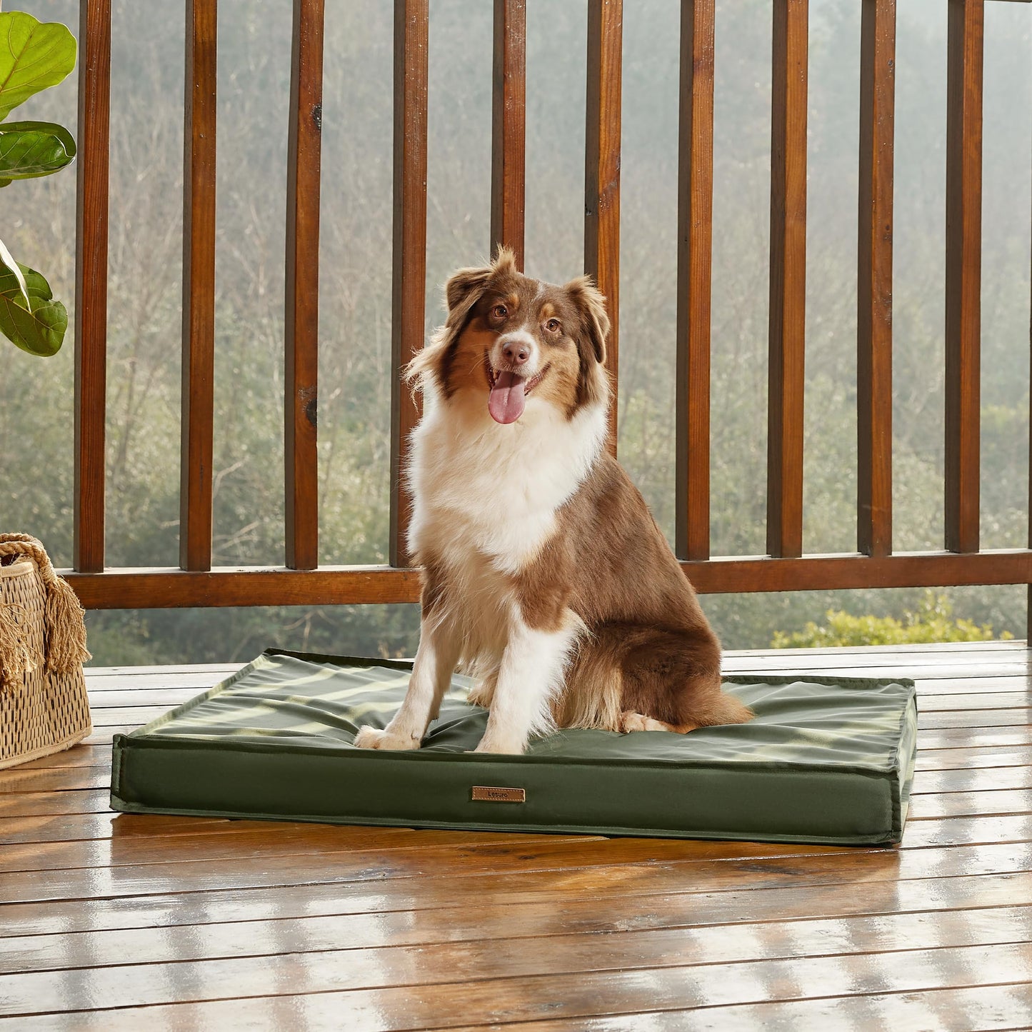 Lesure Outdoor Dog Bed for Medium Sized Dogs, Orthopedic Waterproof Egg Crate Foam Pet Bed with Oxford Fabric Surface and Removable Machine Washable Cover, 76 x 51 CM, Green