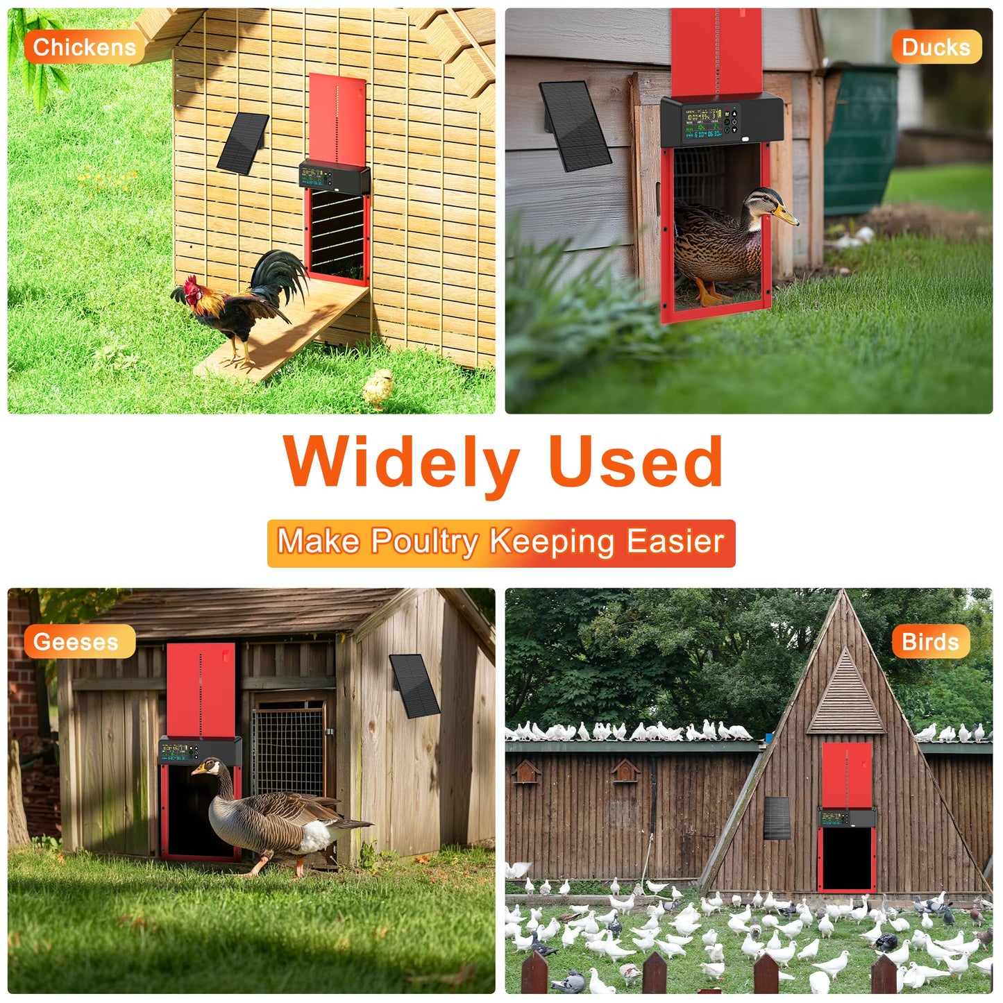 ZenxyHoC Automatic Chicken Coop Door Solar Powered with Remote Control, Aluminum Chicken Door with Programmable LCD Display, 4 Operating Modes Controlled by Timer and Light Sensor