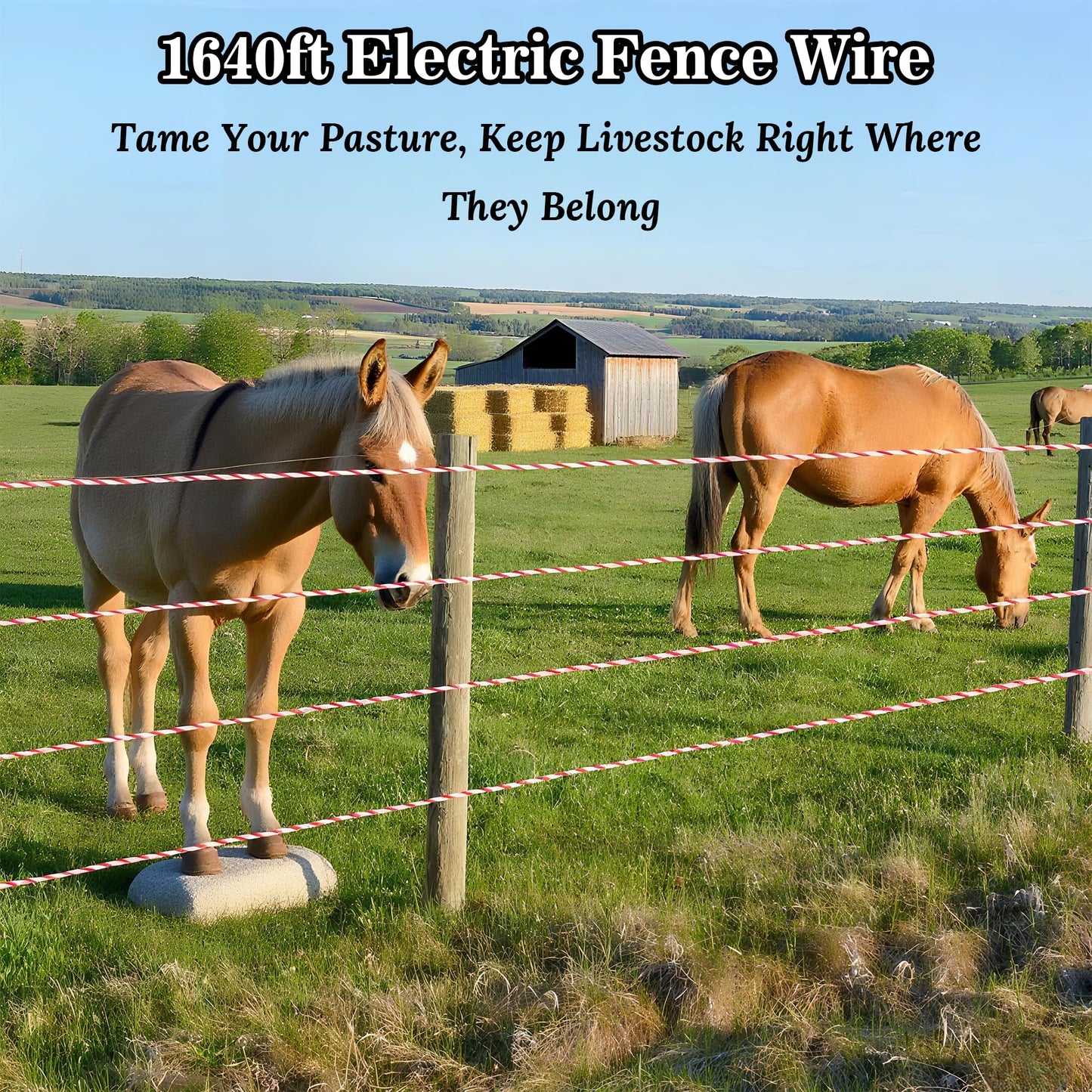 Electric Fence Polywire 1640 Feet 500 Meters, 9 Stainless Steel Strands for High Conductivity, UV & Rust Resistant Portable Electric Fencing Rope for Livestock, Horses, Goats, Dogs, Wildlife Control