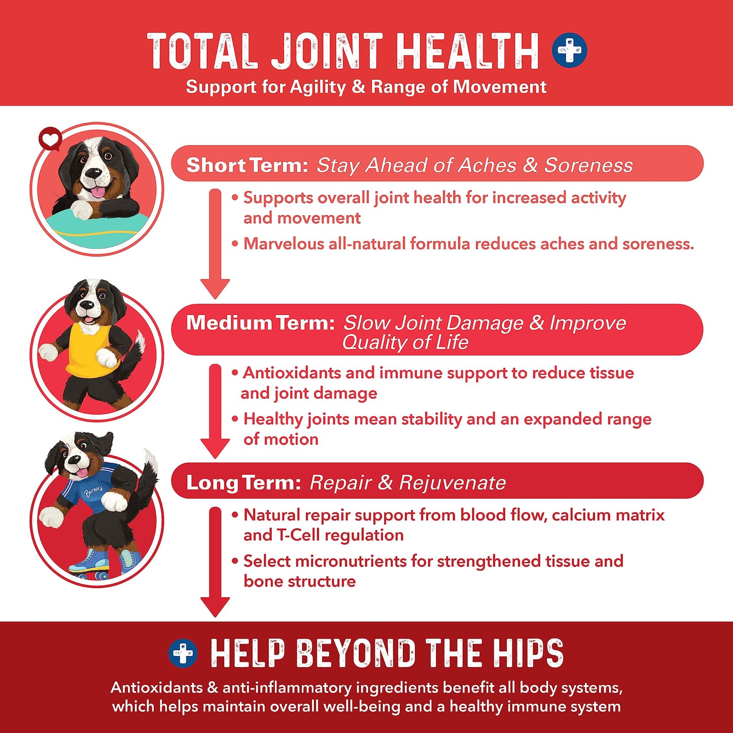 Bernie's Marvelous Mobility - Daily Dog Hip and Joint Supplement - Maintains Overall Well Being & Promotes a Healthy Immune System (90 Count)