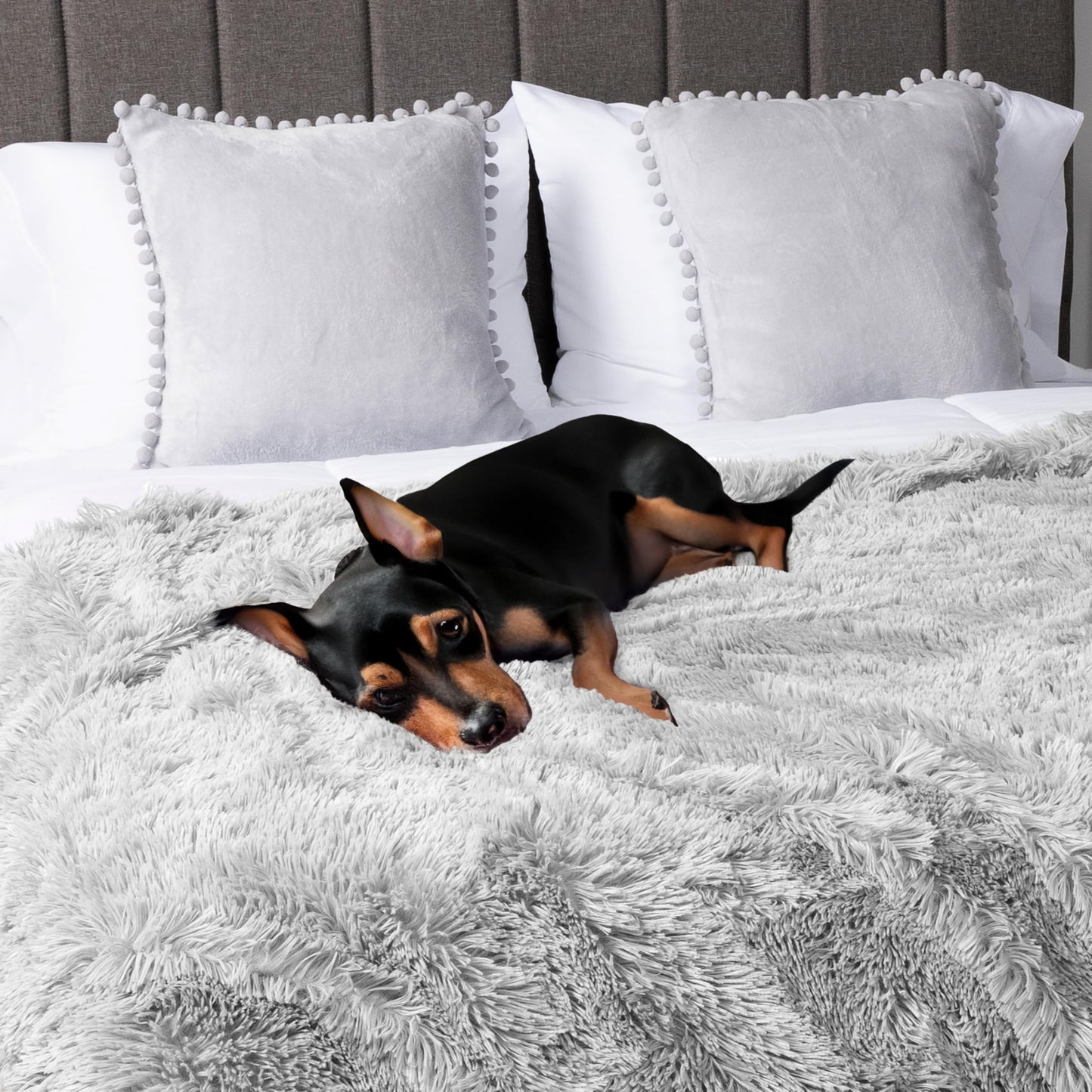 PetAmi Waterproof Dog Blanket for Medium Large Dogs, Calming Fleece Cat Blanket, Couch Protector Washable Sherpa Faux Fur Pet Throw for Puppy, Soft Reversible Leakproof 40x60 Light Gray