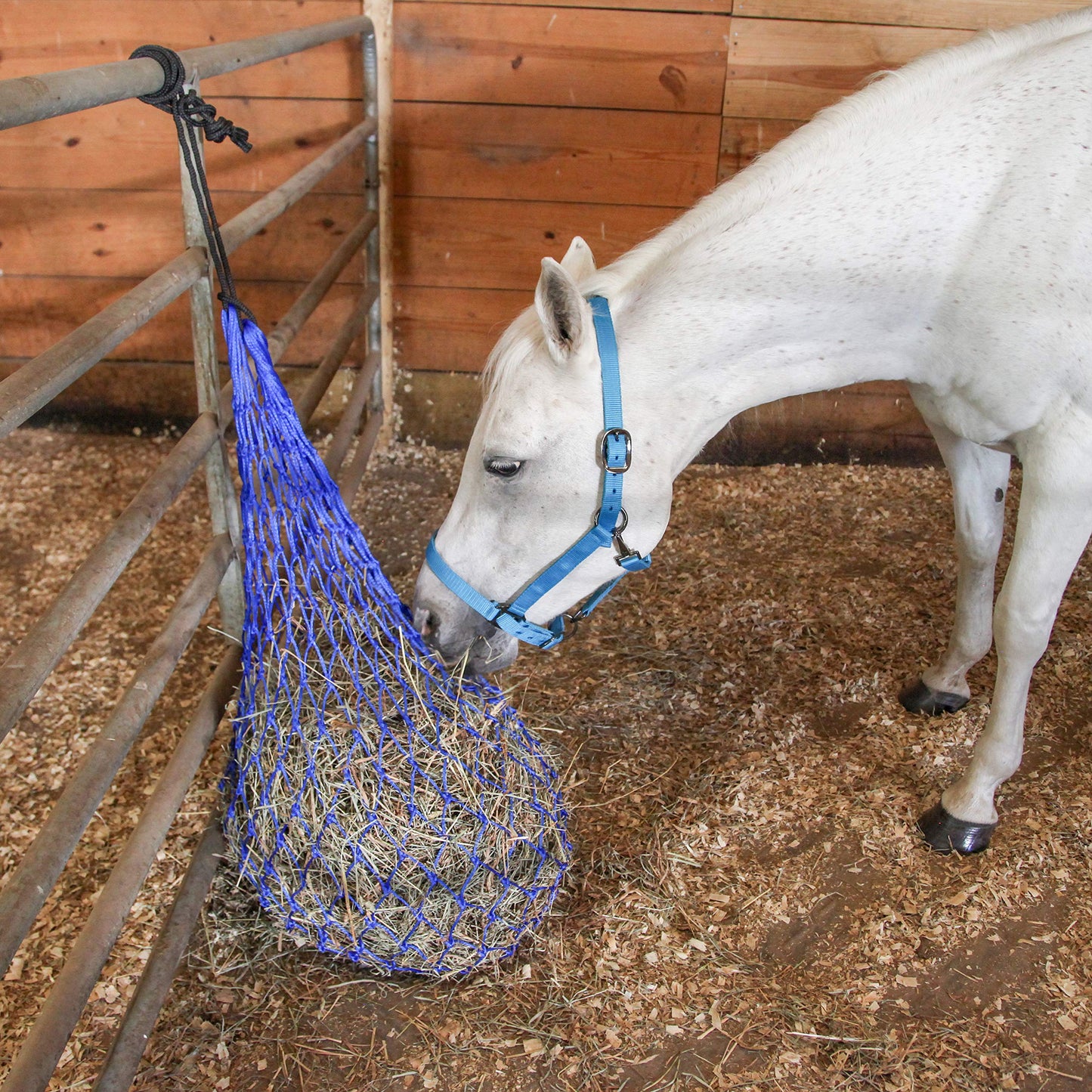 Majestic Ally 2 pcs Slow Feed 56” Hay Net with Soft 3"x3" Holes for Horses & Livestock, Nylon Rope Hanging, Simulates Grazing, Reduce Waste (Black)