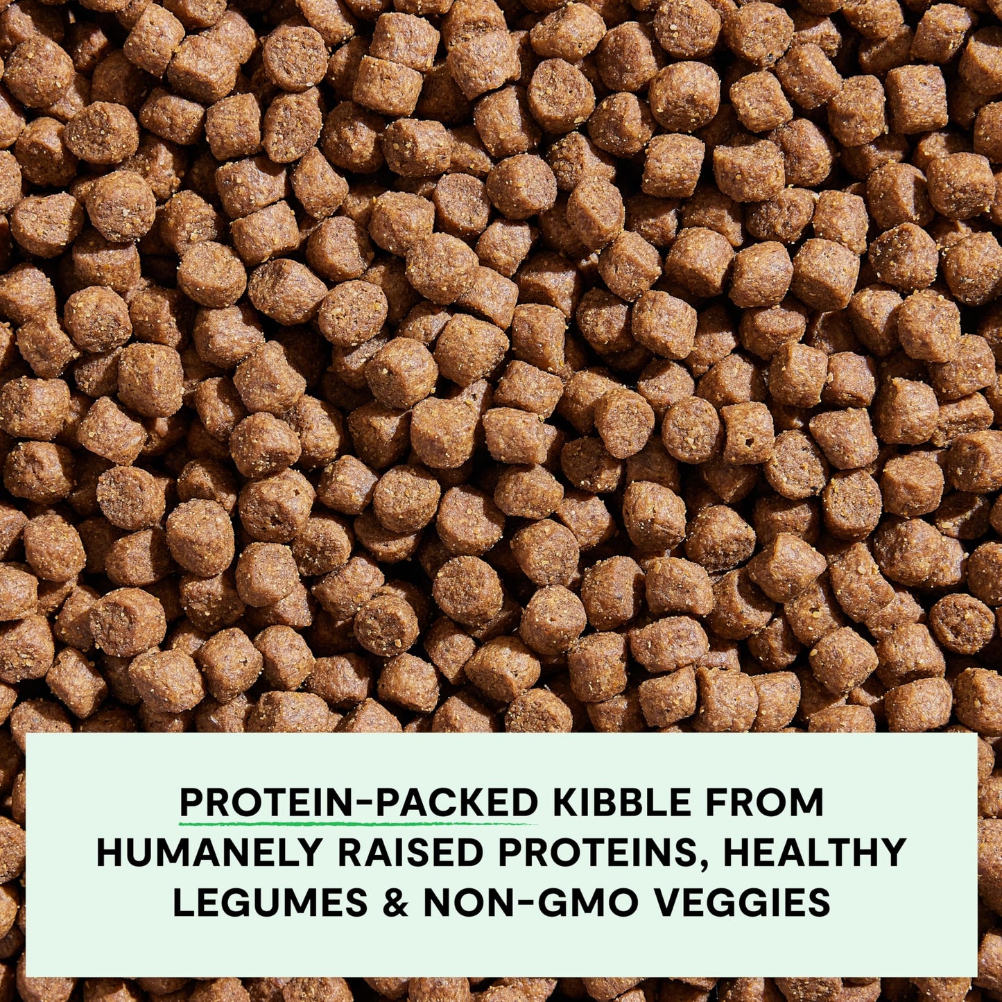 Open Farm, Grain-Free Dry Dog Food, Complete & Balanced Kibble, Sustainably & Ethically Sourced Ingredients, Non-GMO Veggies & Superfoods to Support Overall Health, Grass-Fed Beef Recipe, 4lb Bag