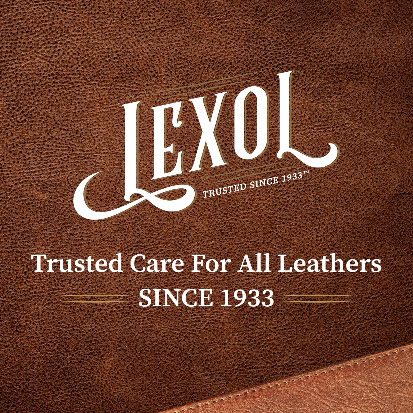 Lexol Leather Cleaner, pH-Balanced for Use on Leather Apparel, Furniture, Auto Interiors, Shoes, Handbags and Accessories, 16.9 oz